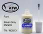 Preview: Ford, Silver Gray Metallic, TN / M2813: 20ml Lackstift, von ATW Autoteile West.